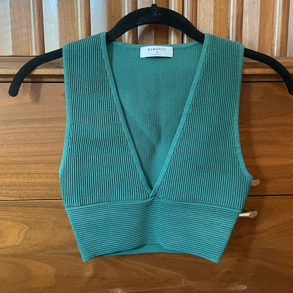 Aritzia Babaton Sculpt Deep V Tank XXS - worn 1x! Discontinued color!